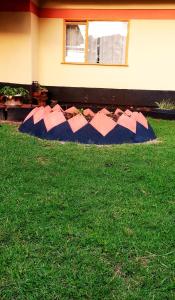 En hage utenfor Bali Home Eldoret
