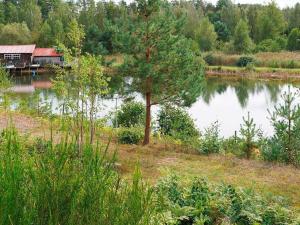 a house on the shore of a lake with a tree at 3 person holiday home in OSKARSHAMN in Oskarshamn