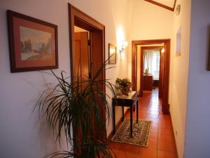 Fotografie z fotogalerie ubytování Casa Dos Arrabidos v destinaci Torres Novas