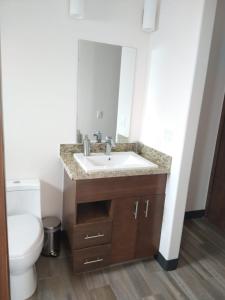 a bathroom with a sink and a toilet at Suite Loft Deslumbrante Salida a México 102A in Querétaro +33 photos