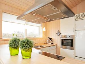 Fæbækにある6 person holiday home in Tranek rのカウンターに鉢植え2本付きのキッチン