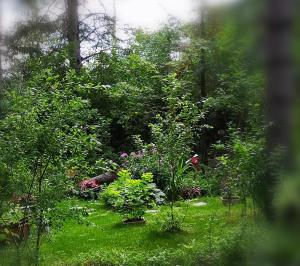 einen Garten mit Blumen und Pflanzen im Gras in der Unterkunft Motel Alexandrin in Saint-Georges