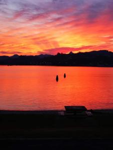 una puesta de sol sobre un gran cuerpo de agua en Paku Lodge Resort, en Tairua