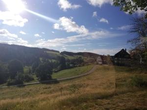 a grassy hill with a house in the distance at Haus Elena in Bestwig