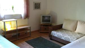 ein Wohnzimmer mit einem Sofa und einem TV in der Unterkunft Ferienwohnung Steinwald Ausläufer mit Blick auf Kösseine in Waldershof