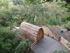 Owl Hut Cosy Ensuite Pod Snowdonia Coast Sleeps 2外面的花园