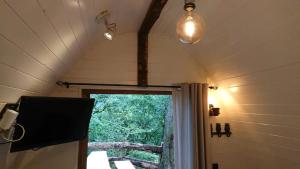 Owl Hut Cosy Ensuite Pod Snowdonia Coast Sleeps 2的电视和/或娱乐中心