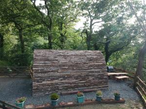Owl Hut Cosy Ensuite Pod Snowdonia Coast Sleeps 2外面的花园