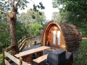 Owl Hut Cosy Ensuite Pod Snowdonia Coast Sleeps 2外面的花园