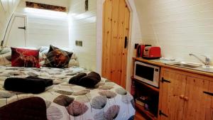 Kuchyň nebo kuchyňský kout v ubytování Owl Hut Cosy Ensuite Pod Snowdonia Coast Sleeps 2