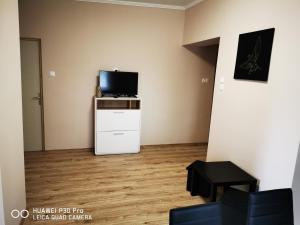 Televízia a/alebo spoločenská miestnosť v ubytovaní Renáta Apartman