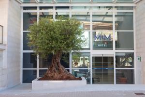Fotografie z fotogalerie ubytování Hotel MiM Mallorca & Spa - Adults Only v destinaci Sa Coma