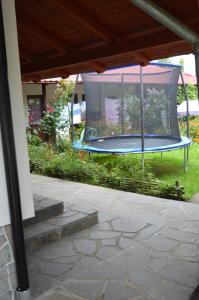 a porch with a swing in a yard at La Vasile la Cazan in Mara