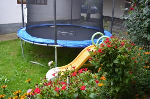 a trampoline in a yard with flowers at La Vasile la Cazan in Mara