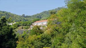 a house in the middle of a hill with trees at tra Sole e Limoni Apartments in Tramonti