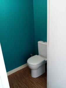 La salle de bains est pourvue de toilettes blanches dans un mur vert. dans l'établissement Chambres d'Elisa, à Saint-Morillon