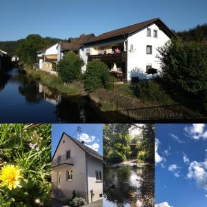 a collage of pictures of houses and a river at Ferienhaus 1 An der Rodach in Steinwiesen