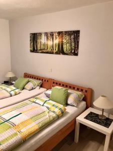 Ένα ή περισσότερα κρεβάτια σε δωμάτιο στο Ferienhaus 1 An der Rodach