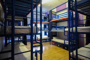 grupa łóżek piętrowych w pokoju w obiekcie London Backpackers Youth Hostel 18 - 35 Years Old Only w Londynie