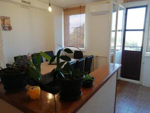 Зображення з фотогалереї помешкання Apartman KIKA у місті Сомбор