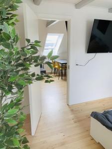 a living room with a plant and a mirror at aday - Reberbansgade Apartment Suite in Aalborg