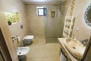 a bathroom with a shower and a sink and a tub at NIKAS APARTMENT in Sibiu