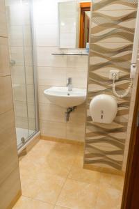 a bathroom with a sink and a mirror at Hotel Vaidila in Alytus