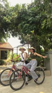 Đạp xe trong hoặc quanh Hang Mua Central Homestay