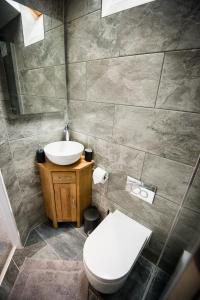 uma casa de banho com um WC e um lavatório em Alpaca Fold em Preston