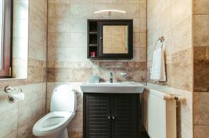 a bathroom with a sink and a toilet and a mirror at Vila Genia in Câmpulung Moldovenesc +51 photos