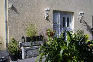 Zahrada ubytování Ferienwohnung Ahrtalblick