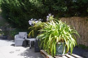 Zahrada ubytování Ferienwohnung Ahrtalblick