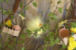 クアオルト・オイビンにあるHotel Oybiner Hofのギャラリーの写真 +15枚の写真