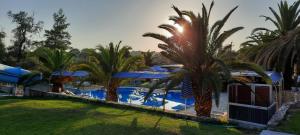 a resort with a swimming pool with palm trees at Pension Nychterida in Marathiás