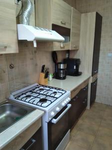 a kitchen with a stove top oven next to a sink at Pensiunea Roua Diminetilor in Ruşca +20 photos