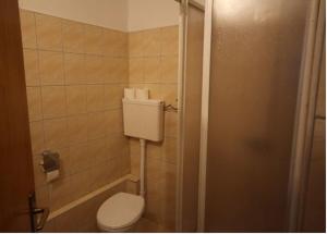 a small bathroom with a toilet and a shower at Vlašićki Konak in Vlasic