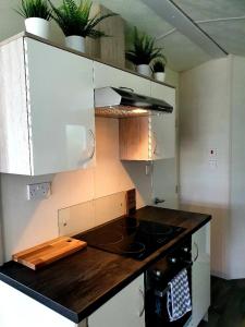 a kitchen with a stove and a counter top at Foxwood Lodge Private Hot Tub Getaway in Swarland +11 photos