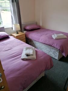 Glenarm的住宿－Fern house，一间设有三张床、紫色床单和一盏灯的房间