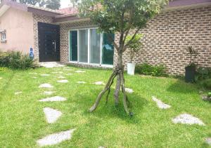 a tree in the grass in front of a house at Fongnang Eyeom in Jeju