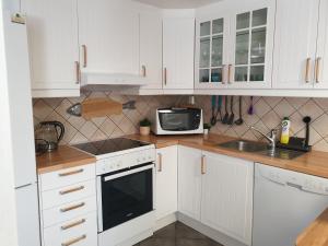 Bergen Apartment with Fjord View的厨房或小厨房