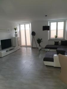 TV a/nebo společenská místnost v ubytování Business Apartment Turgi