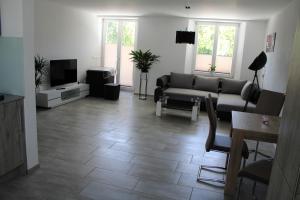 TV a/nebo společenská místnost v ubytování Business Apartment Turgi