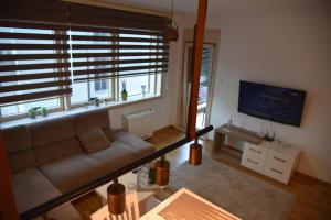 Posezení v ubytování Apartment Lux Fontana