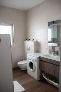 bagno con lavatrice e servizi igienici di Logement cosy 4/6 pers - quartier historique calme a Cauterets