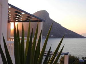 a plant in front of a house with a view of the ocean at Lina studios in Kalymnos