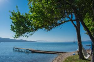 a dock on the shore of a lake with a tree at Flisvos Seaside Apartments in Lygia