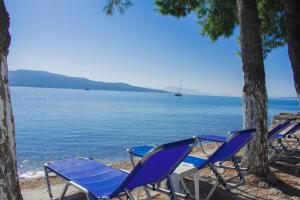 a group of chairs and trees on a beach at Flisvos Seaside Apartments in Lygia