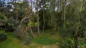 สวนหย่อมนอก Ekoturystyka Nowina