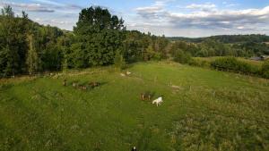 Afbeelding uit fotogalerij van Ekoturystyka Nowina in Nowina