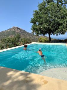two people in a swimming pool with a tree at Casale Margherita Turismo Rurale in Pollina